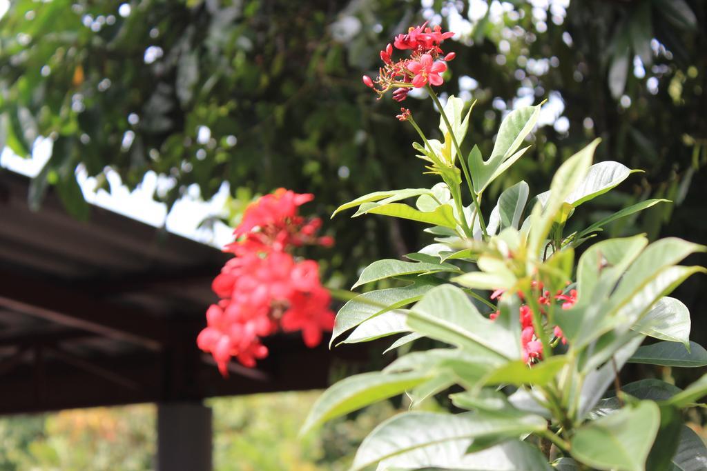 Hotel Lanta Happy Hill Ko Lanta Exterior foto